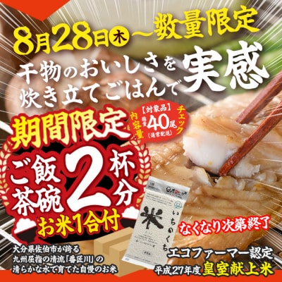 <訳あり> 数量限定・お米1合付き 干物大満足BOX (40尾以上・5-8種)  