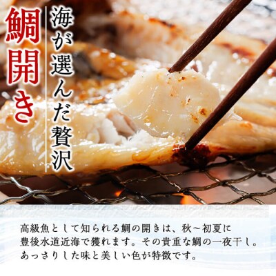 <定期便・全4回>ギフト用品質!九州産 ひもの 季節の 定期便 (総計35枚)
