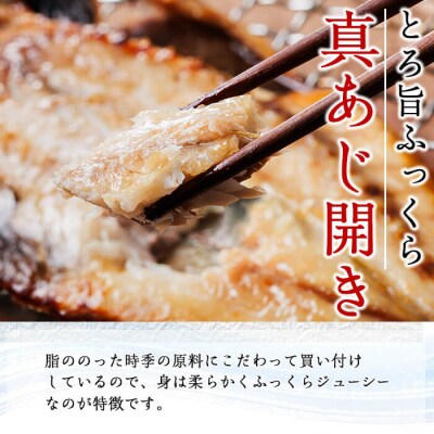 <定期便・全4回>ギフト用品質!九州産 ひもの 季節の 定期便 (総計35枚)