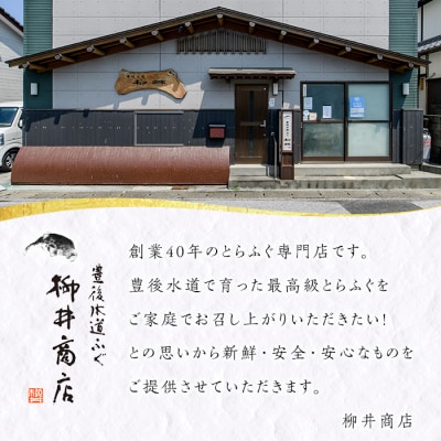 < 訳あり ・ 簡易包装 > ふるさと納税限定 冷凍 豊後 とらふぐ刺身・コンパクト 真空 パック 