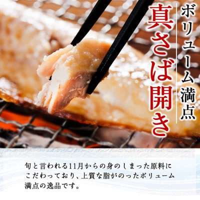 ギフト用品質!九州産ひもの真さば開き干物(1尾・5P)