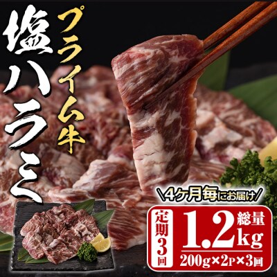 <定期便・全3回 (4か月ごとの発送)>プライム牛 塩ハラミ(総量1.2kg)