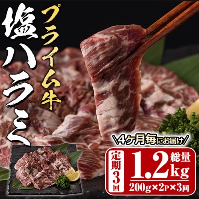 <定期便・全3回 (4か月ごとの発送)>プライム牛 塩ハラミ(総量1.2kg)