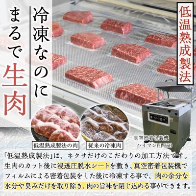 <定期便・全6回 (2か月ごとの発送)>プライム牛 塩ハラミ(総量2.4kg)