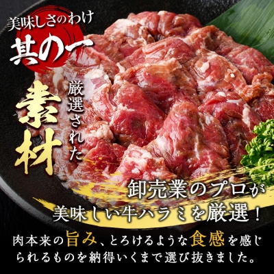 <定期便・全3回 (4か月ごとの発送)>塩味 牛ハラミ(総量1.8kg)