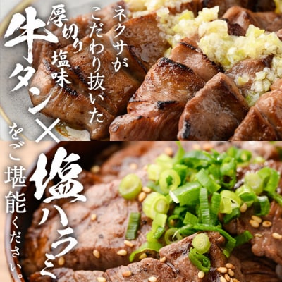 <定期便・全3回 (4か月ごとの発送)> 特選 牛タン ・ 牛ハラミ セット (総量2.4kg)