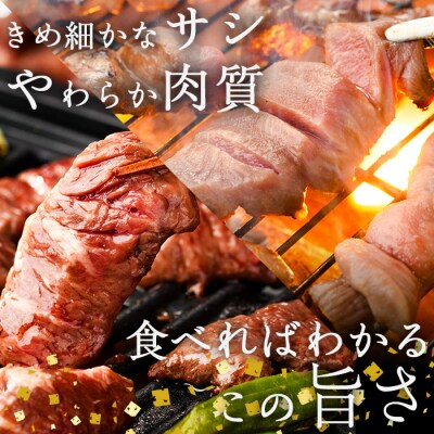 <定期便・全12回 (毎月の発送)> 特選 牛タン ・ 牛ハラミ セット (総量9.6kg) 