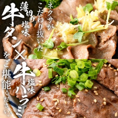 <定期便・全3回 (4か月ごとの発送)>たっぷり! 薄切り 塩 牛タン・牛ハラミ セット