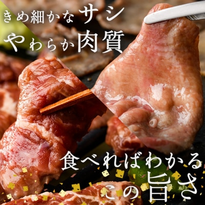 <定期便・全6回 (2か月ごとの発送)> たっぷり! 薄切り 塩 牛タン・牛ハラミ セット