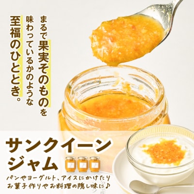 サンクイーンジュース (1本) & サンクイーンジャム (3個) セット