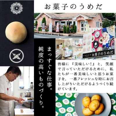 吟醸餡ようかん (4本:各45g)