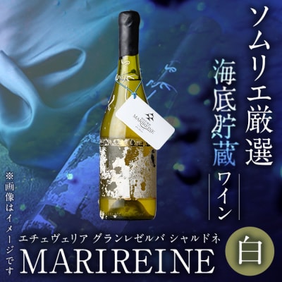海底貯蔵ワイン 白 MARIREINE エチェヴェリア グランレゼルバ シャルドネ2022