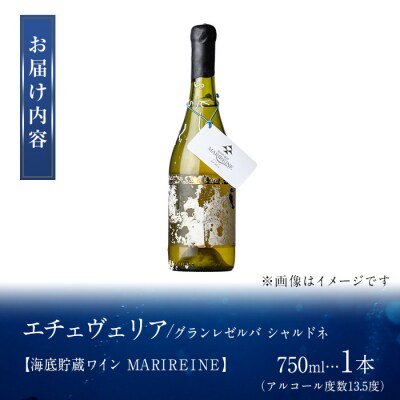 海底貯蔵ワイン 白 MARIREINE エチェヴェリア グランレゼルバ シャルドネ2022