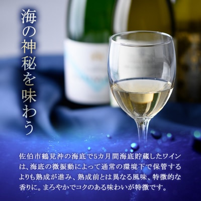 海底貯蔵ワイン 白 MARIREINE エチェヴェリア グランレゼルバ シャルドネ2022