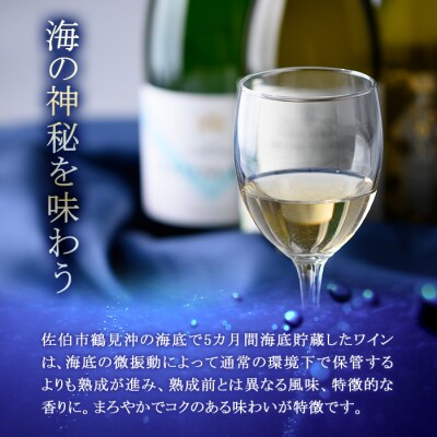 海底貯蔵ワイン 白 MARIREINE エチェヴェリア グランレゼルバ シャルドネ2022