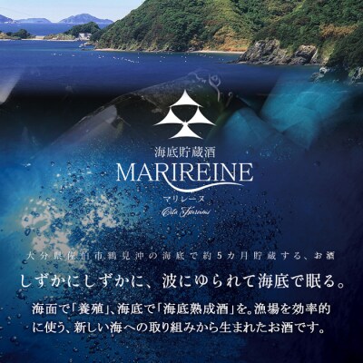 海底貯蔵ワイン 赤 MARIREINE メルローAries2023 (720ml・1本)