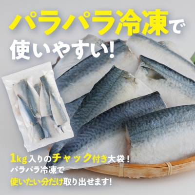 鯖 フィーレ 無塩 (計2kg・1kg×2袋)
