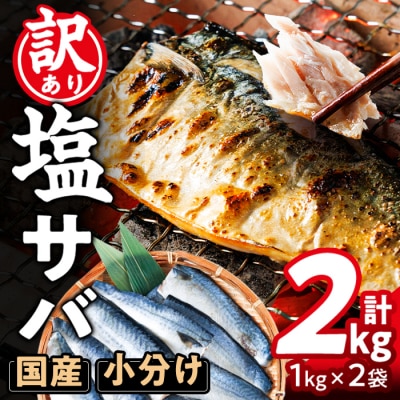 <訳あり・不揃い> 塩鯖 フィーレ (計2kg・1kg×2袋)