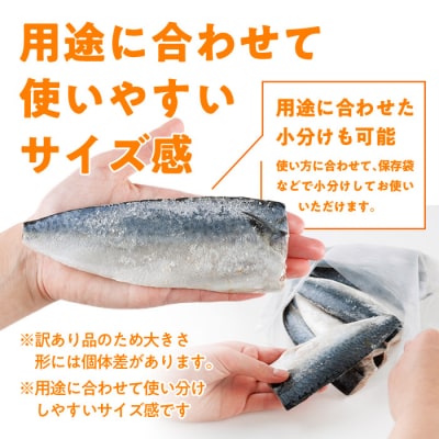 <訳あり・不揃い> 塩鯖 フィーレ (計2kg・1kg×2袋)