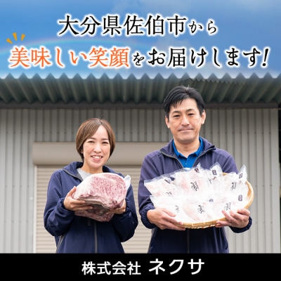 大分県産鰤の炙り 鰤炎 ぶえん (600g)