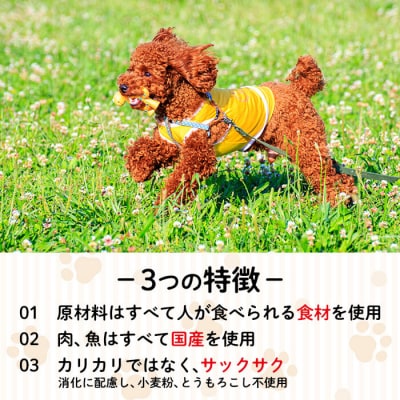 小型犬用ドライフード (計800g・400g×2袋)