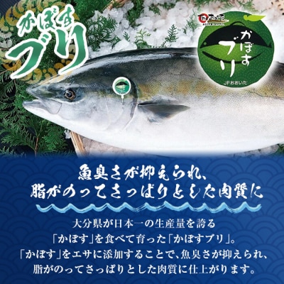 かぼすブリ フィーレ (2枚:約2kg)