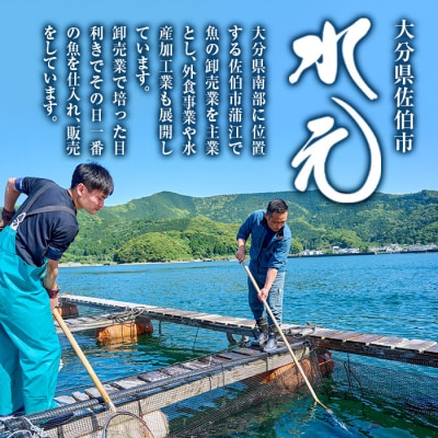 < 訳あり > 骨取り 白身魚 切身 (約400g・1袋) 