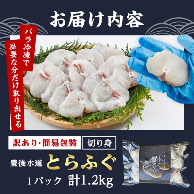 < 訳あり ・ 簡易包装 > 豊後水道 とらふぐ 切り身 