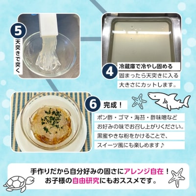 ところてんの素 (1袋・25g+天突き付き) 