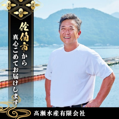 さいき 桜 サーモン フィーレ (1尾分・約500g) 