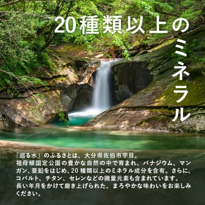 <定期便・全6回 (毎月)> ナチュラルミネラルウォーター 巡る水 500ml 