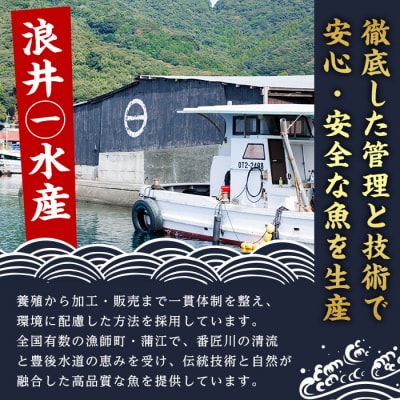 とらふぐ 刺身 セット 4～5人前 2皿セット (75g×2皿・計150g)