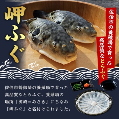 とらふぐ 刺身 セット 4～5人前 2皿セット (75g×2皿・計150g)