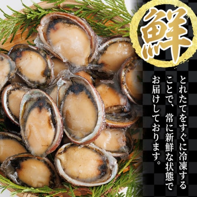 冷凍 トコブシ (500g)