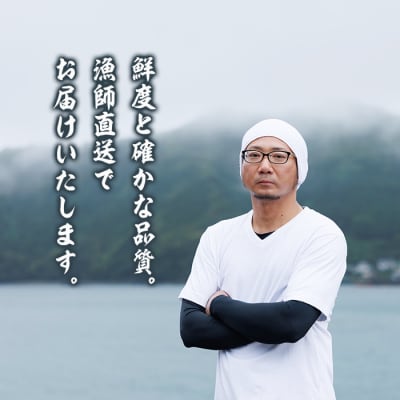 冷凍 トコブシ (500g)