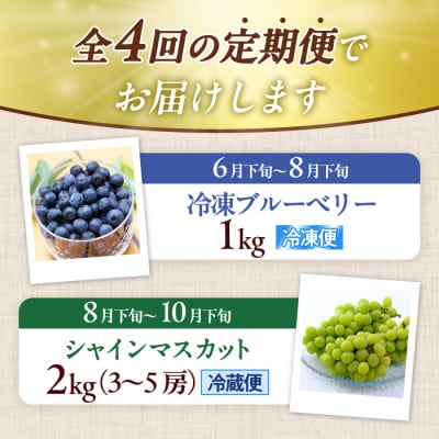 <定期便・全4回>大分県産旬のフルーツ定期便 (4種・総量9kg) 