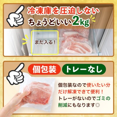 豚肉 定番 3種 セット (2kg) 