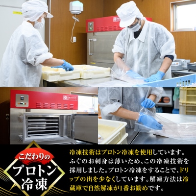 <訳あり> 生簀直送 とらふぐ 刺し身 セット (刺し身×3皿・ヒレ×10g)
