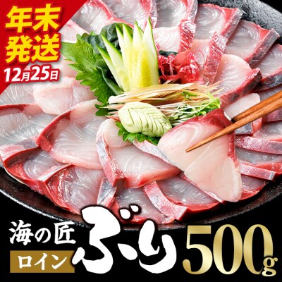 ＼2026年12月25日発送!先行予約/海の匠 ブリ スキンレスロイン (500g) 