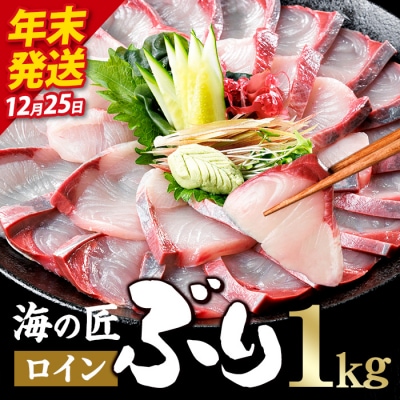 ＼2026年12月25日発送!先行予約/海の匠 ブリ スキンレスロイン (1kg) 