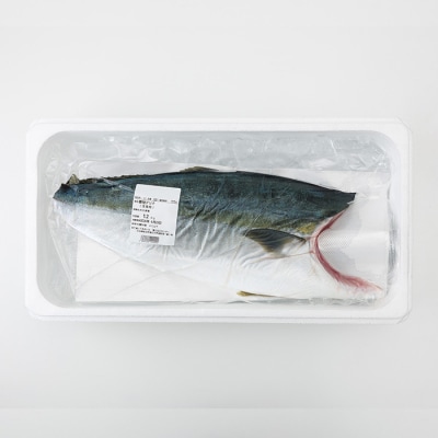 <先行予約受付中!2027年1月以降順次発送予定!>海の匠 ブリ フィレ (1.2kg) 