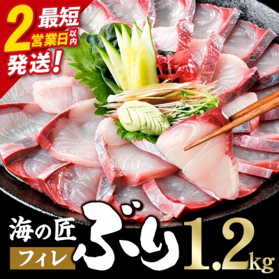 ＼2営業日以内発送/海の匠 ブリ フィレ (1.2kg)