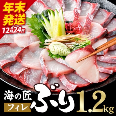 ＼2026年12月24日発送!先行予約/海の匠 ブリ フィレ (1.2kg) 
