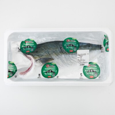 <先行予約受付中!2027年1月以降順次発送予定!>かぼす ブリ フィレ (1.2kg) 