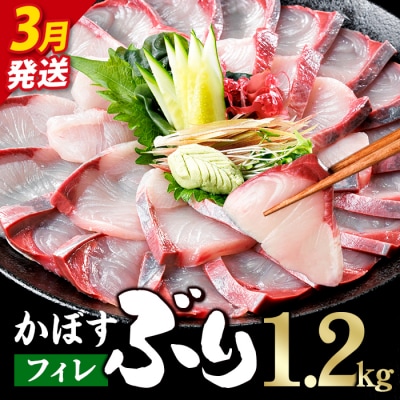 <先行予約受付中!2027年3月以降順次発送予定!>かぼす ブリ フィレ (1.2kg)