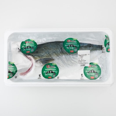 ＼2026年12月25日発送!先行予約/かぼす ブリ フィレ (1.2kg) 