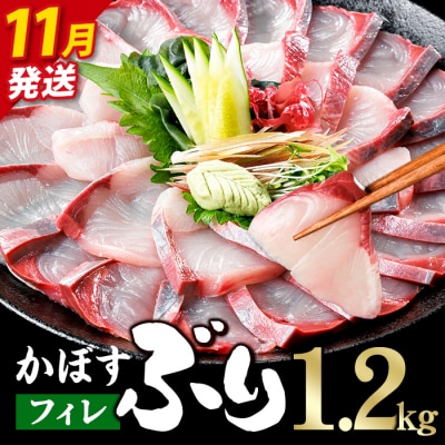 <先行予約受付中!2026年11月以降順次発送予定!>かぼす ブリ フィレ (1.2kg)