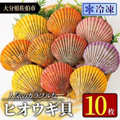 冷凍 ヒオウギ貝 (計10枚)