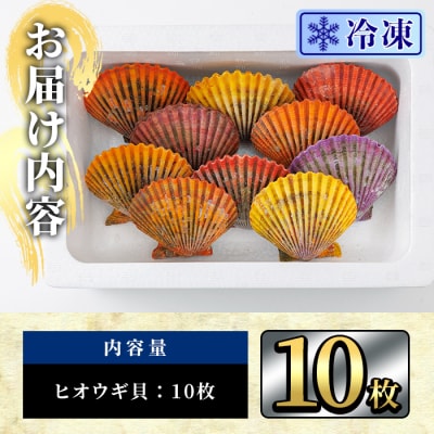 冷凍 ヒオウギ貝 (計10枚)