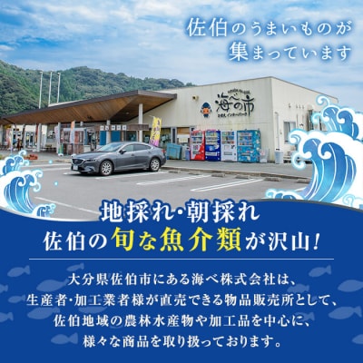 冷凍 ヒオウギ貝 (計10枚)